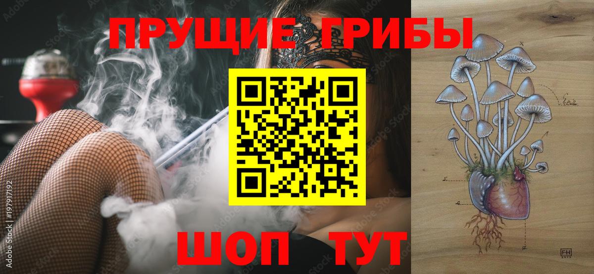 Галлюциногенные грибы Cubensis  Вход с VPN  Галлюциногенные грибы мицелий  Верхний Уфалей 